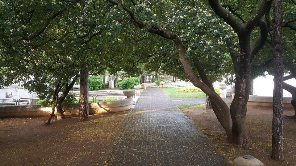 Apartments Adriatic 2 Селце Екстер'єр фото